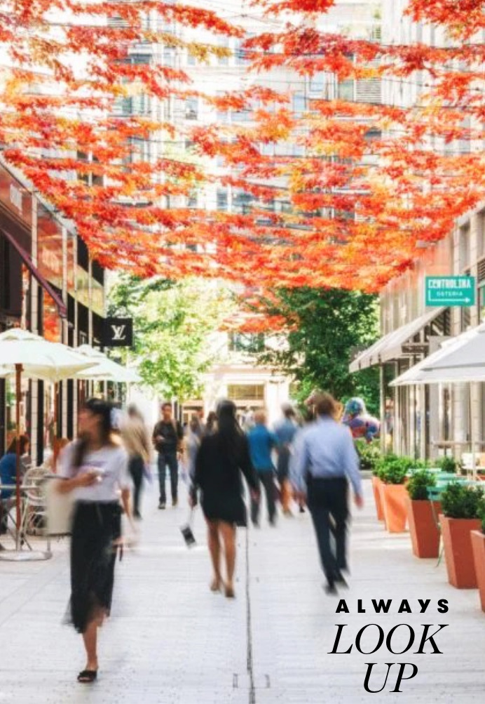 People walk under the autumn leaves hanging sculpture in Palmer Alley