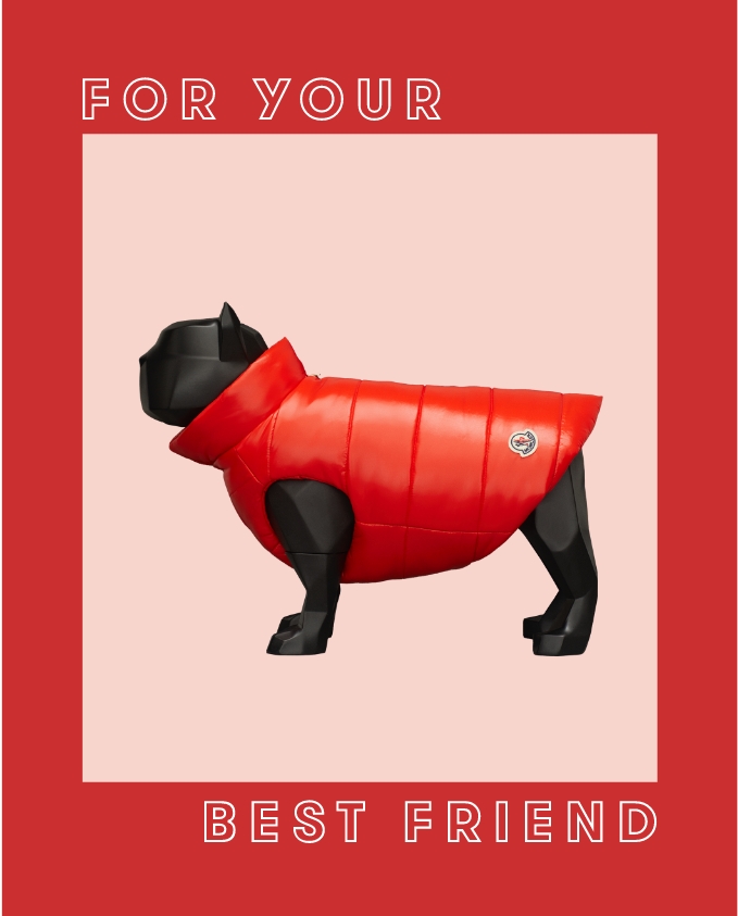 For Your Best Friend Moncler