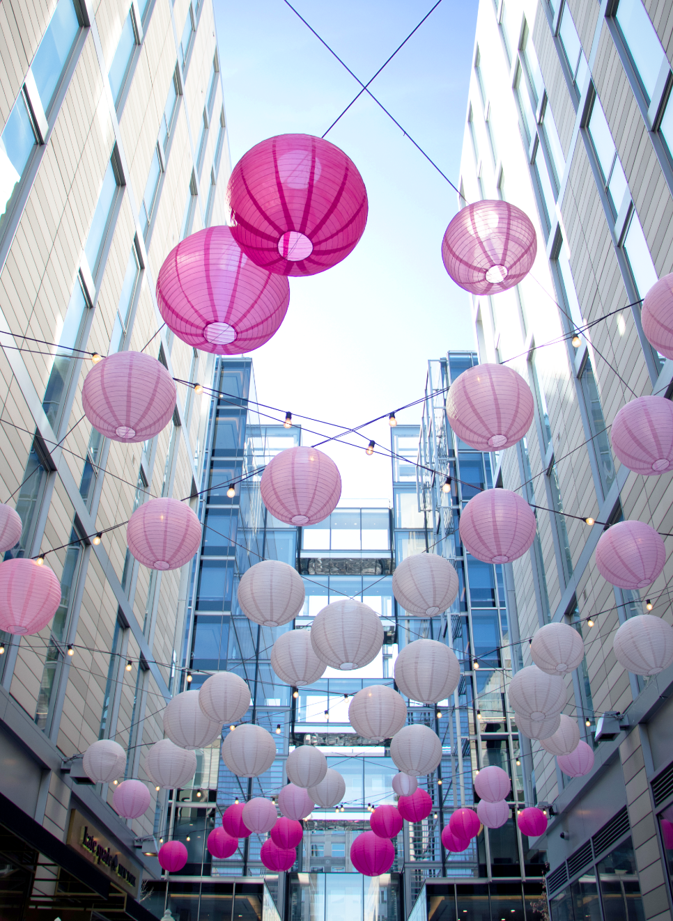 Pink Lantern in Palmer Alley at CityCenterDC