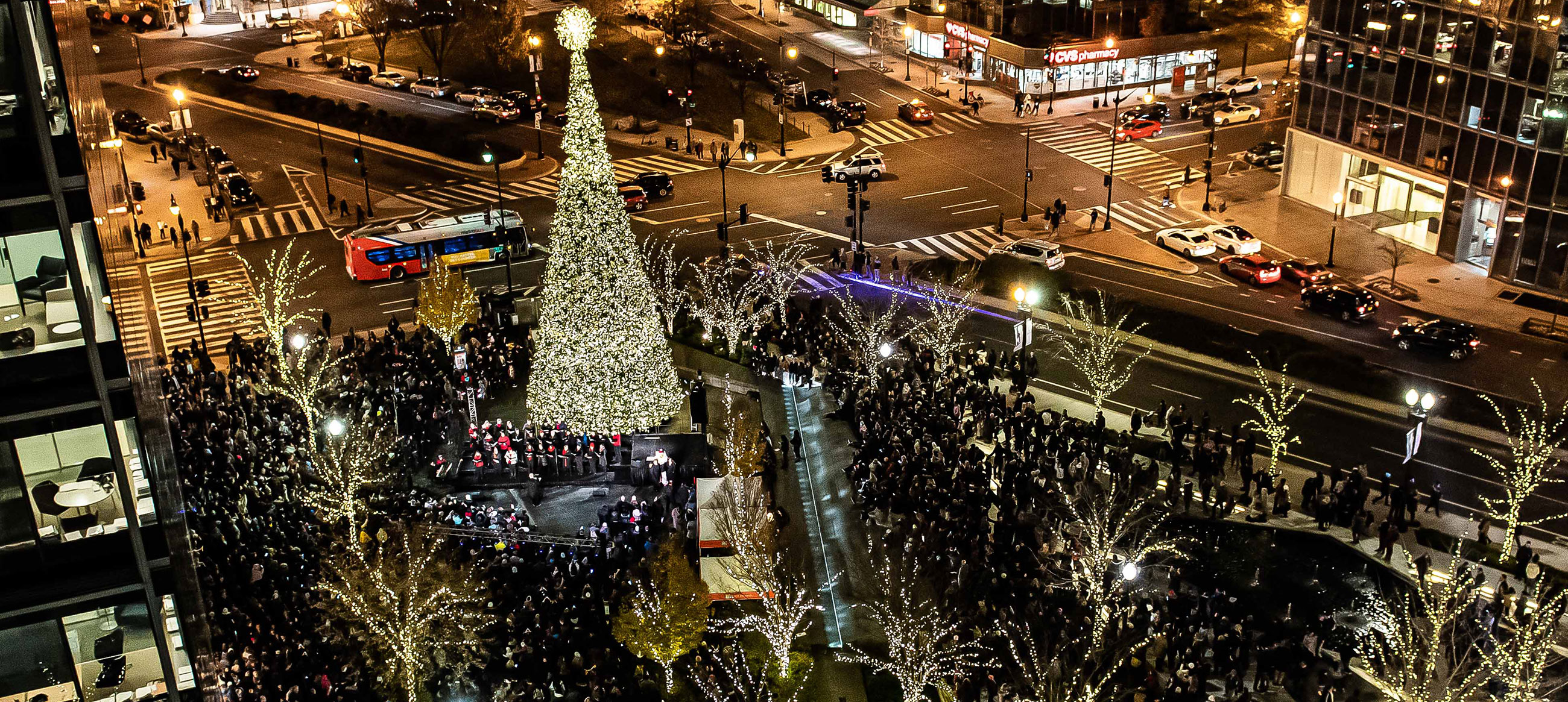 NINTH ANNUAL TREE CITYCENTERDC