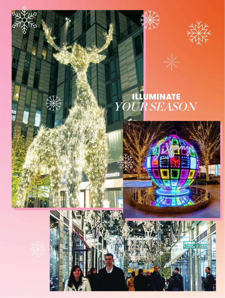 Illuminate the Holidays