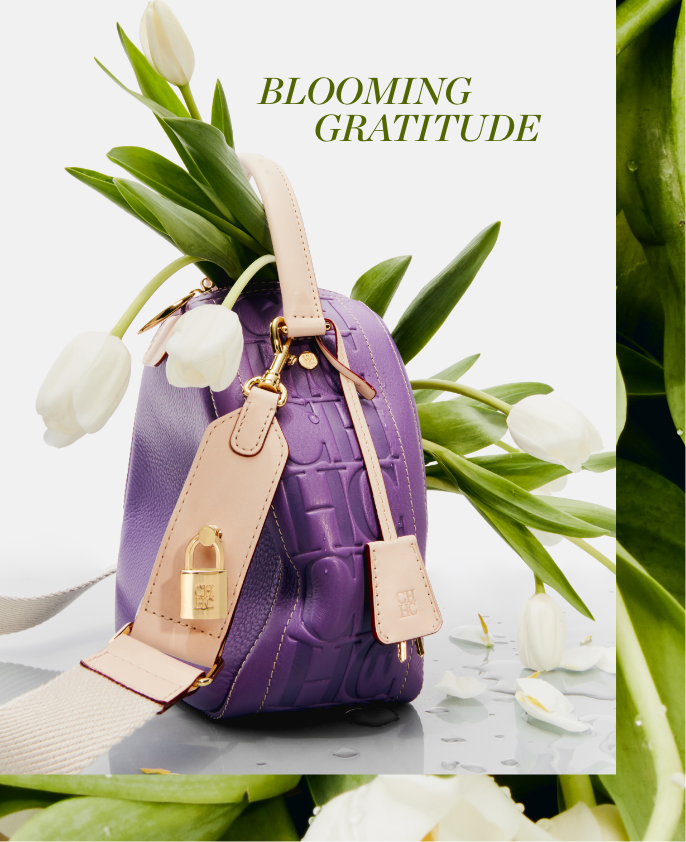 CHerrera, bag, Mother's day