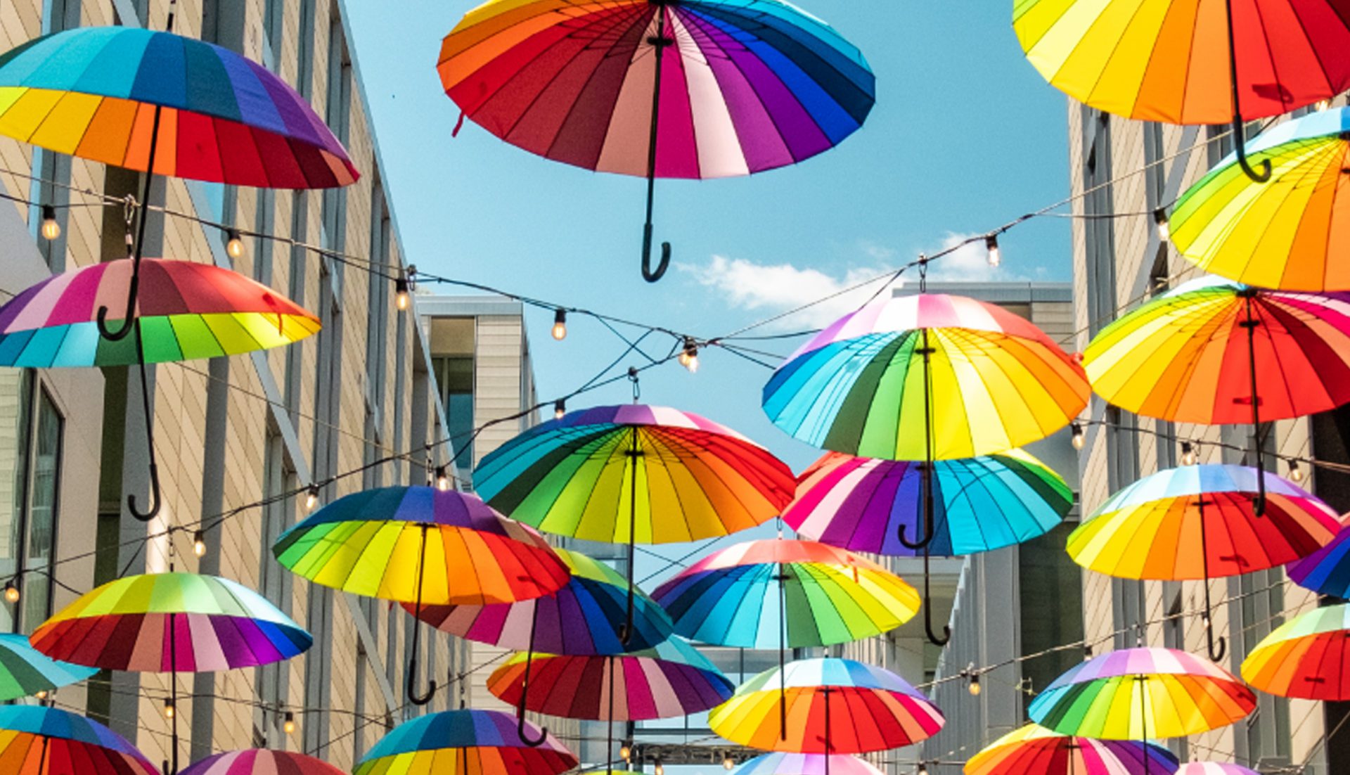 Colors of Summer