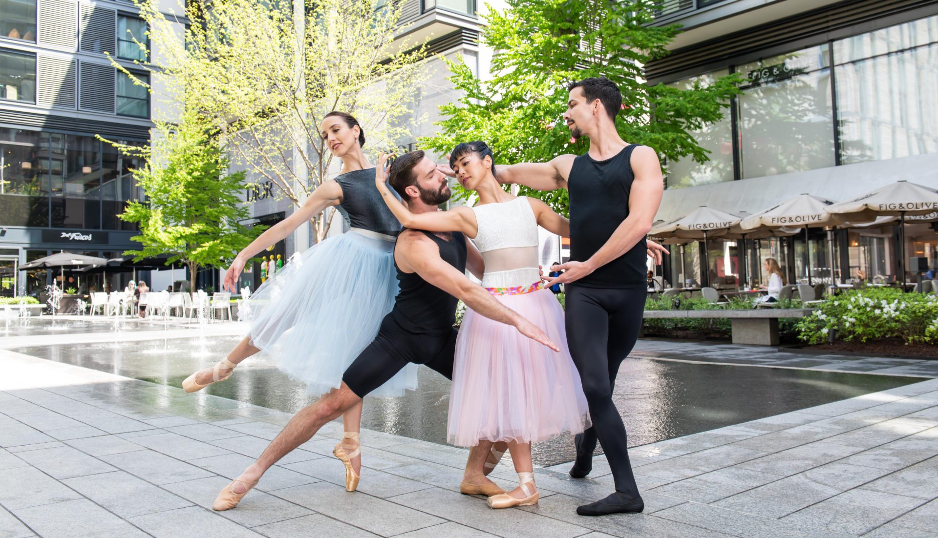 The Washington Ballet