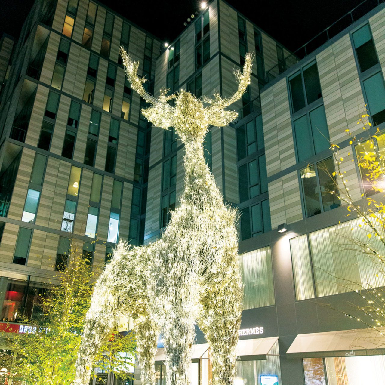 CityCenterDC