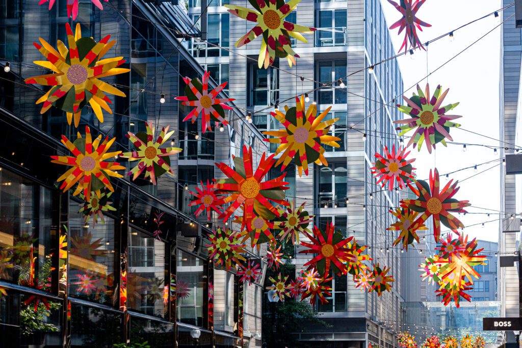 Coneflower Canopy CityCenterDC