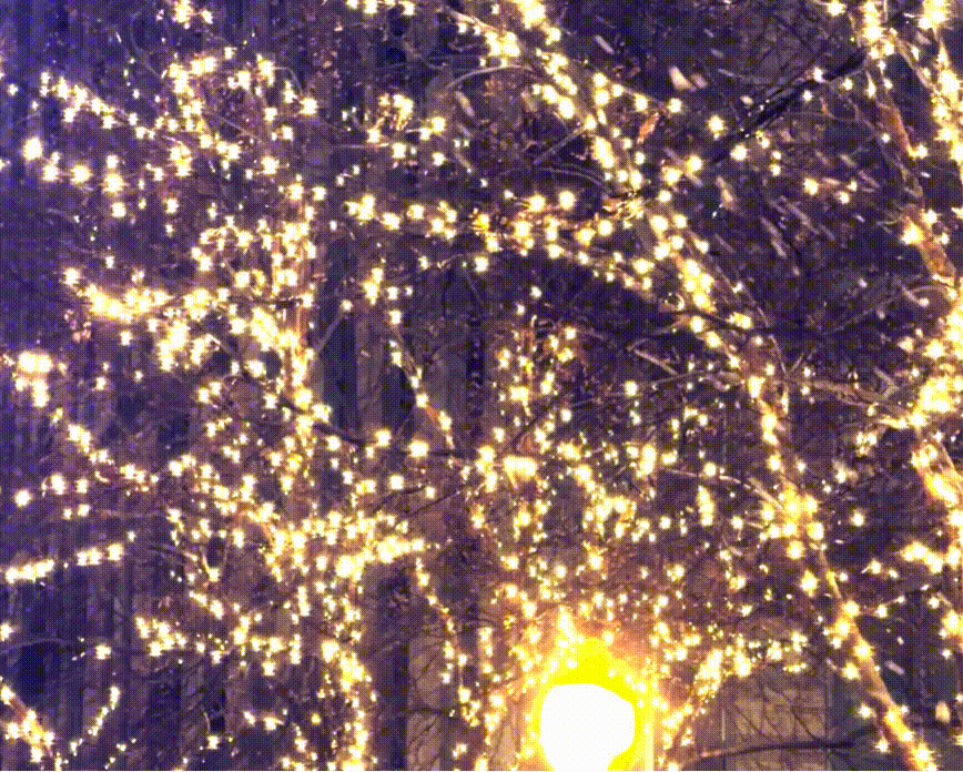 CityCenterDC Holiday