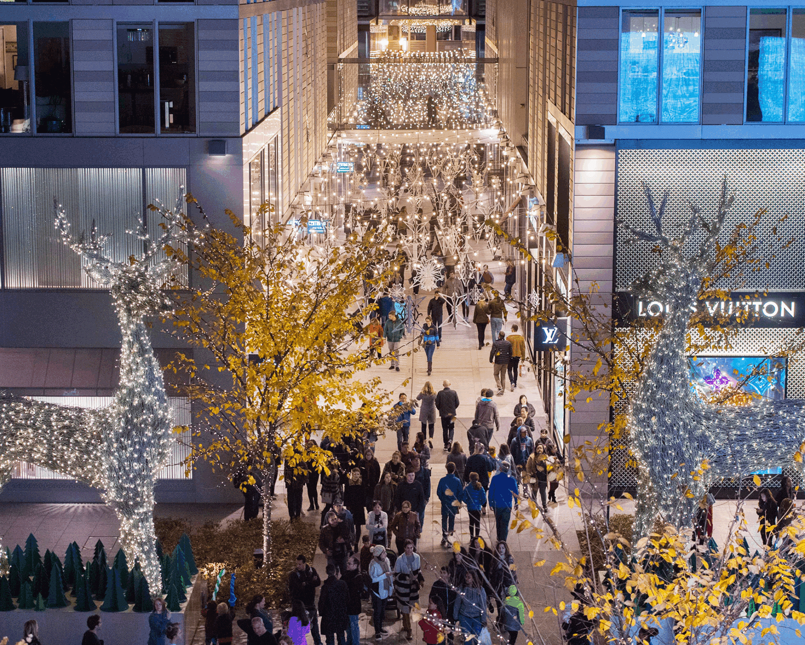 CityCenterDC Holiday