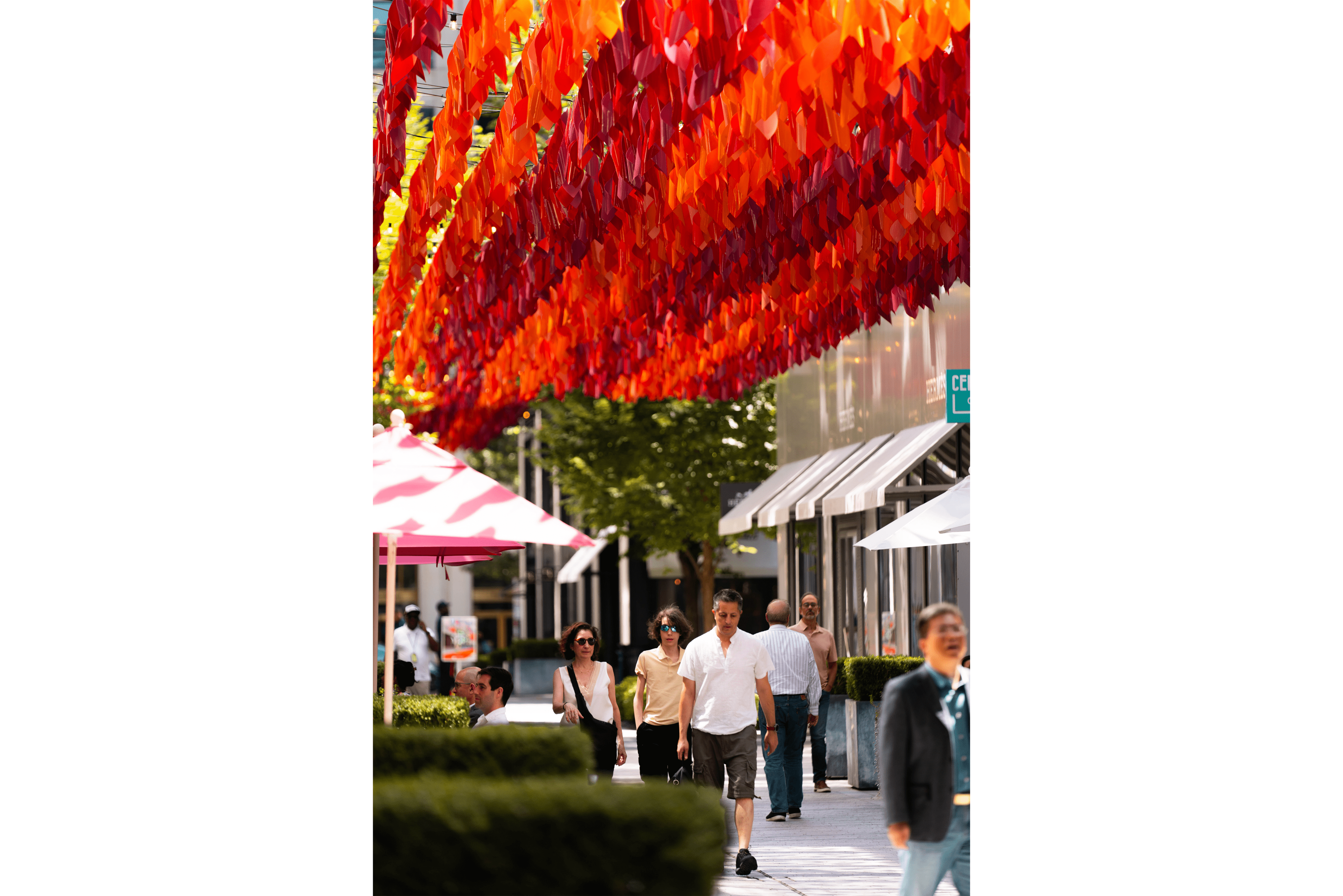 Fall Leaves Palmer Alley