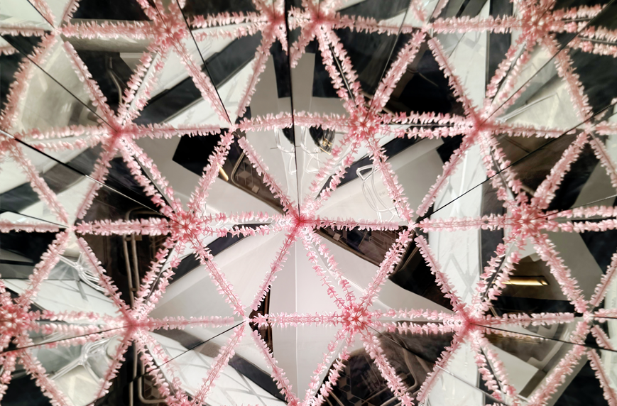 Museum of Illusions DC