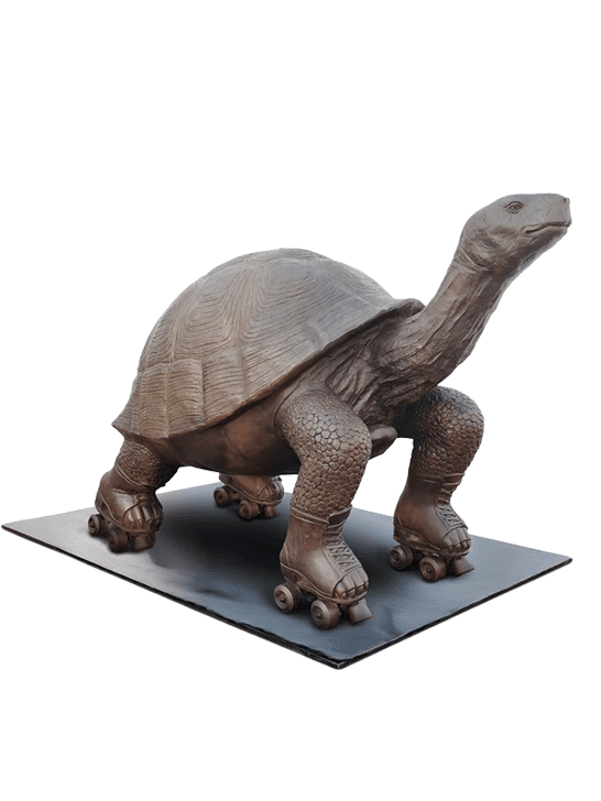 The Galápagos Tortoise Races on Roller Skates