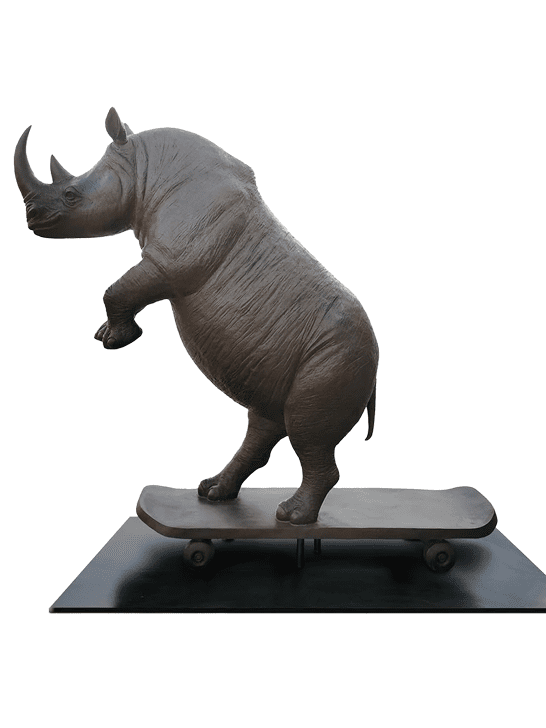 The Northern White Rhino Races on the Skateboard